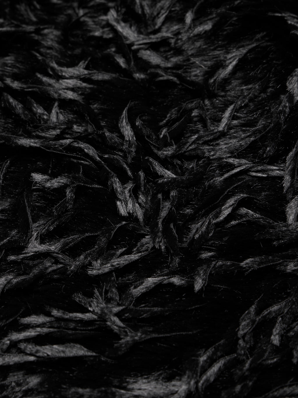Bold Stole